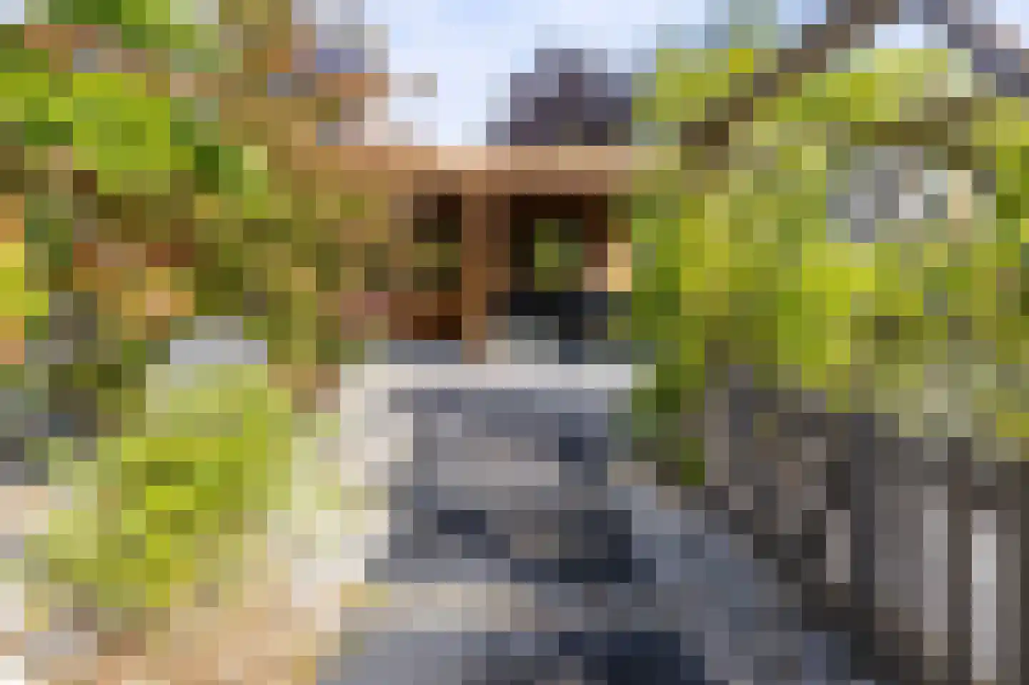 Parelduiker 15 Hoogkarspel thumbnail 22