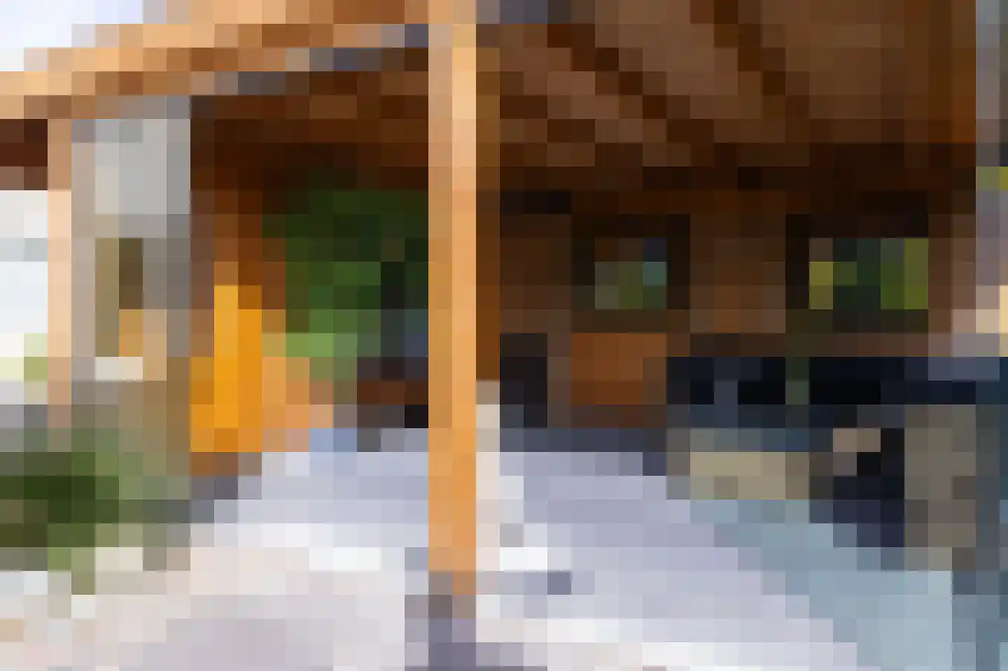 Parelduiker 15 Hoogkarspel thumbnail 23