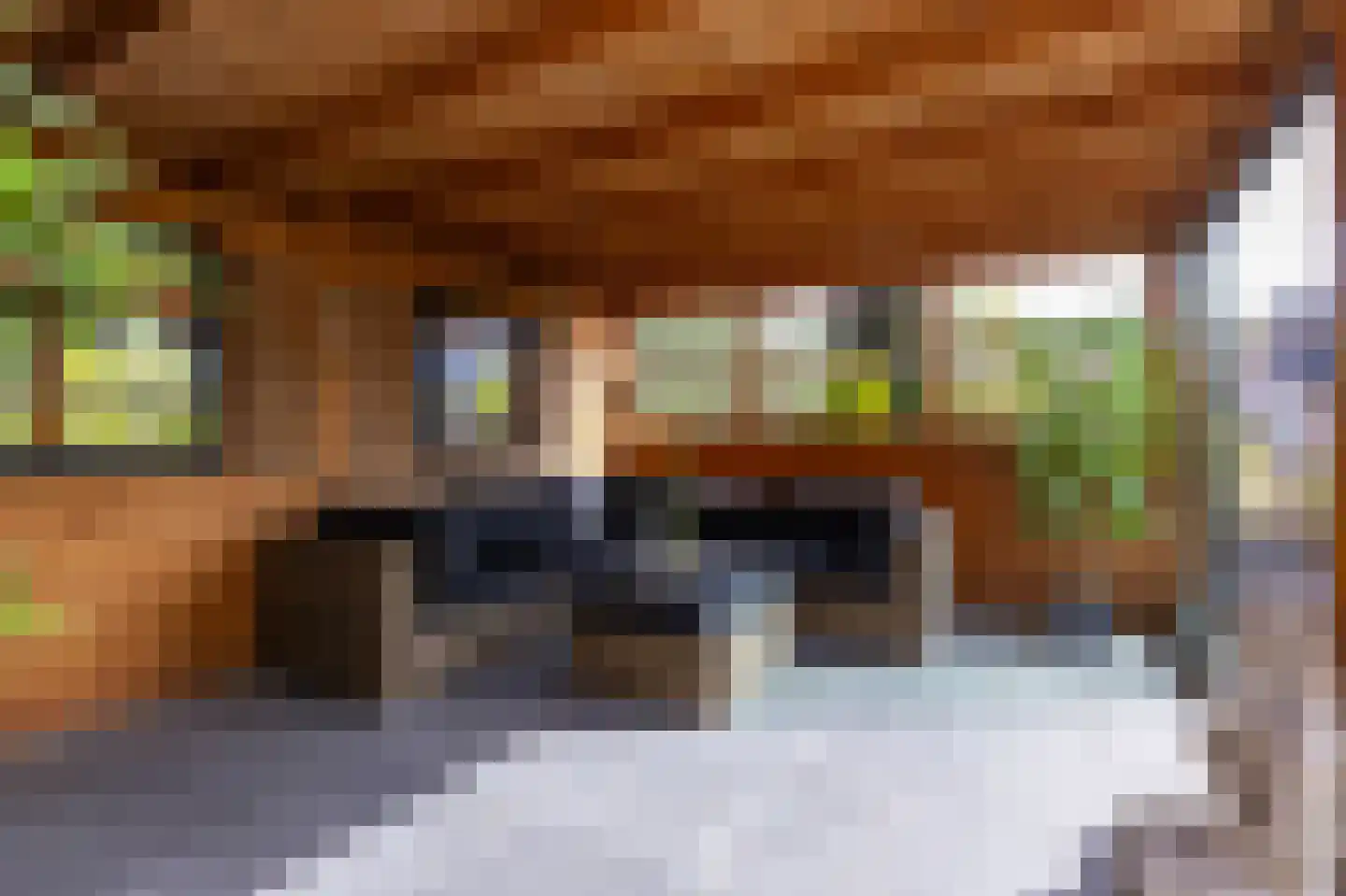 Parelduiker 15 Hoogkarspel thumbnail 24