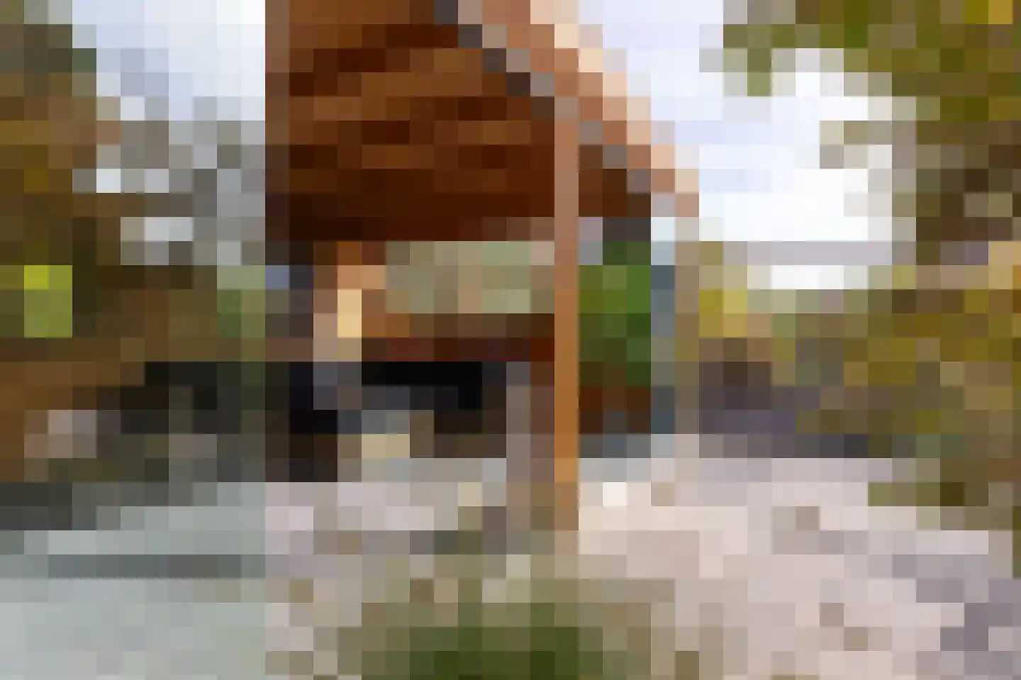 Parelduiker 15 Hoogkarspel thumbnail 26