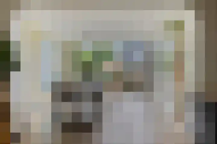 Parelduiker 18 Wildervank thumbnail 23