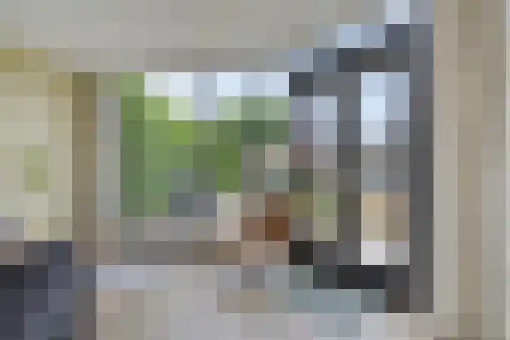 Parelduiker 18 Wildervank thumbnail 24