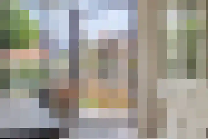Parelduiker 18 Wildervank thumbnail 27