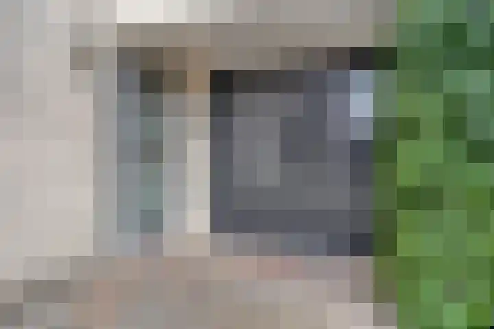 Parelduiker 18 Wildervank thumbnail 4