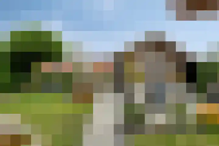 Parelduiker 18 Wildervank thumbnail 43