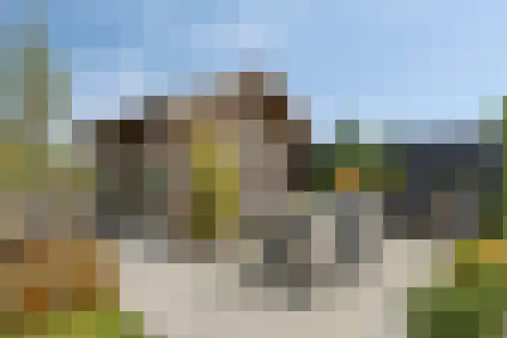 Parelduiker 18 Wildervank thumbnail 44