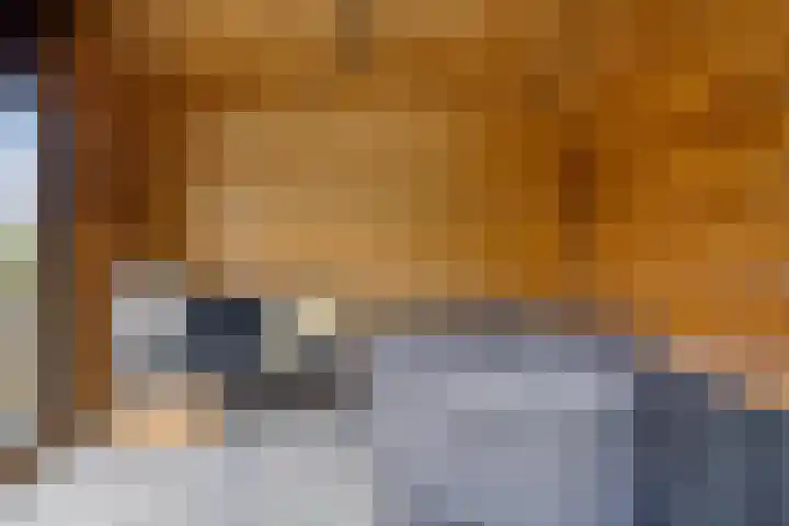 Parelduiker 18 Wildervank thumbnail 45