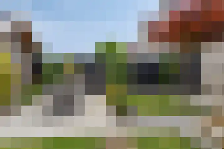 Parelduiker 18 Wildervank thumbnail 50