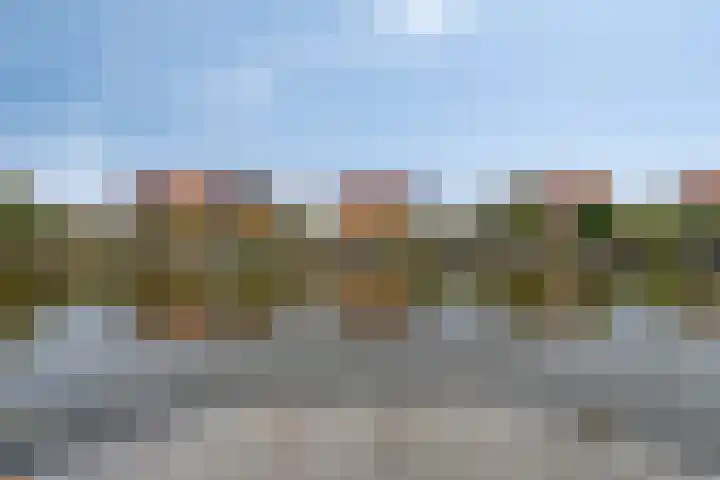 Parelduiker 18 Wildervank thumbnail 51