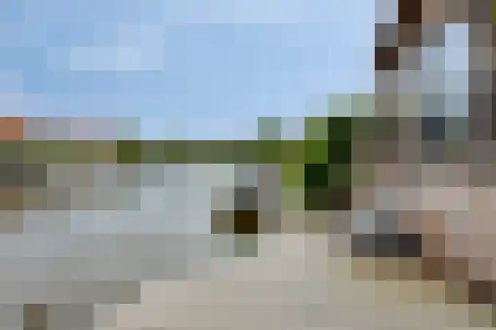 Parelduiker 18 Wildervank thumbnail 52
