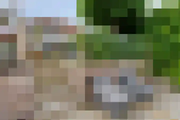 Parelduiker 18 Wildervank thumbnail 53