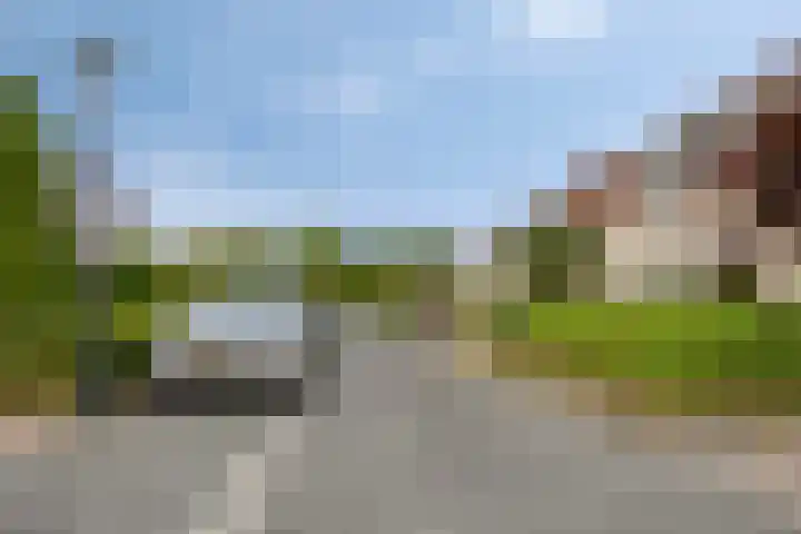 Parelduiker 18 Wildervank thumbnail 54
