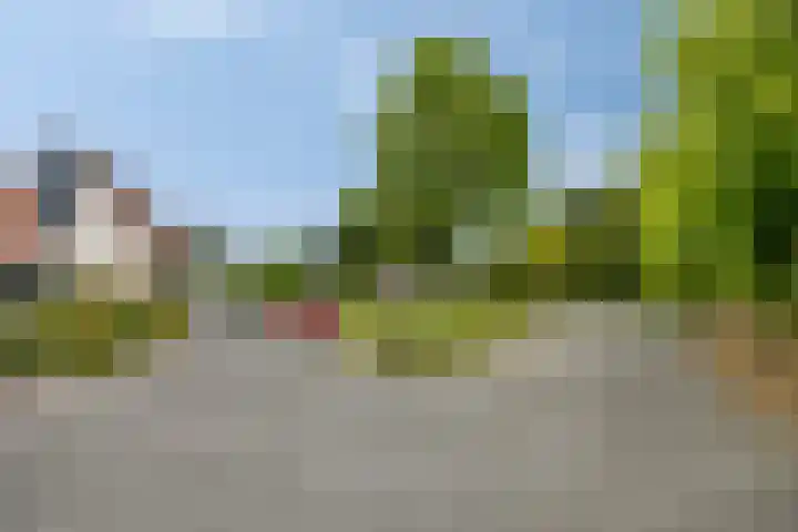 Parelduiker 18 Wildervank thumbnail 55