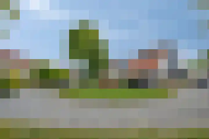 Parelduiker 18 Wildervank thumbnail 56