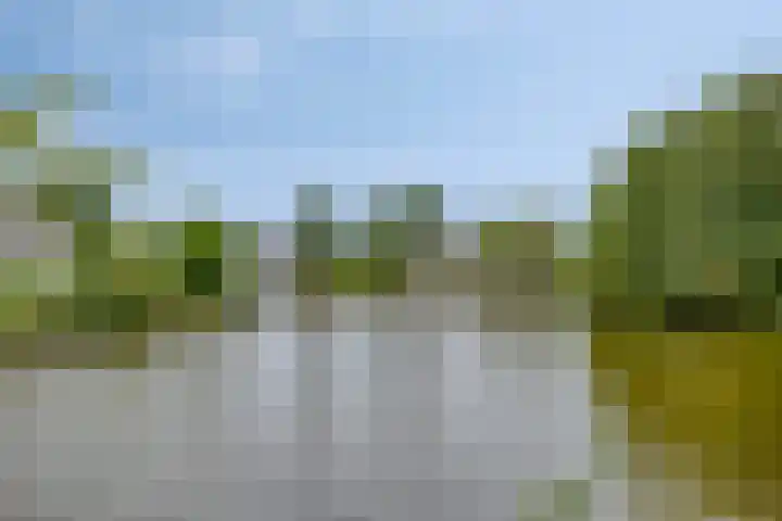Parelduiker 18 Wildervank thumbnail 57