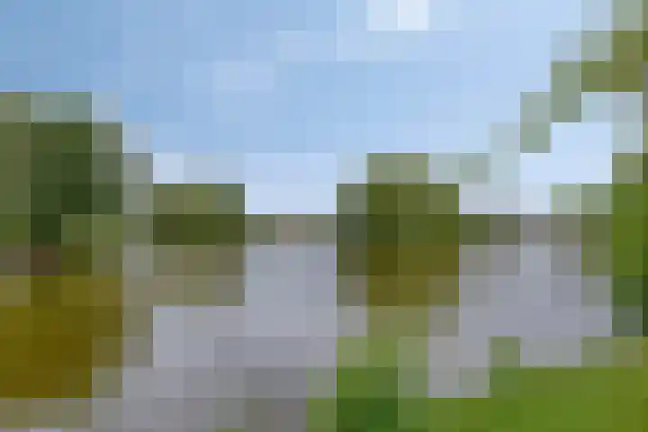 Parelduiker 18 Wildervank thumbnail 58