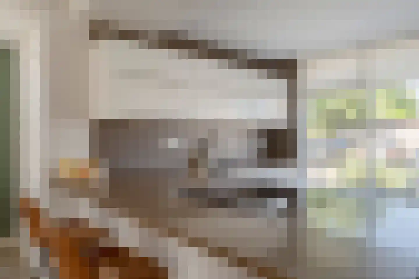 Parelduiker 2 Noordwijk thumbnail 11