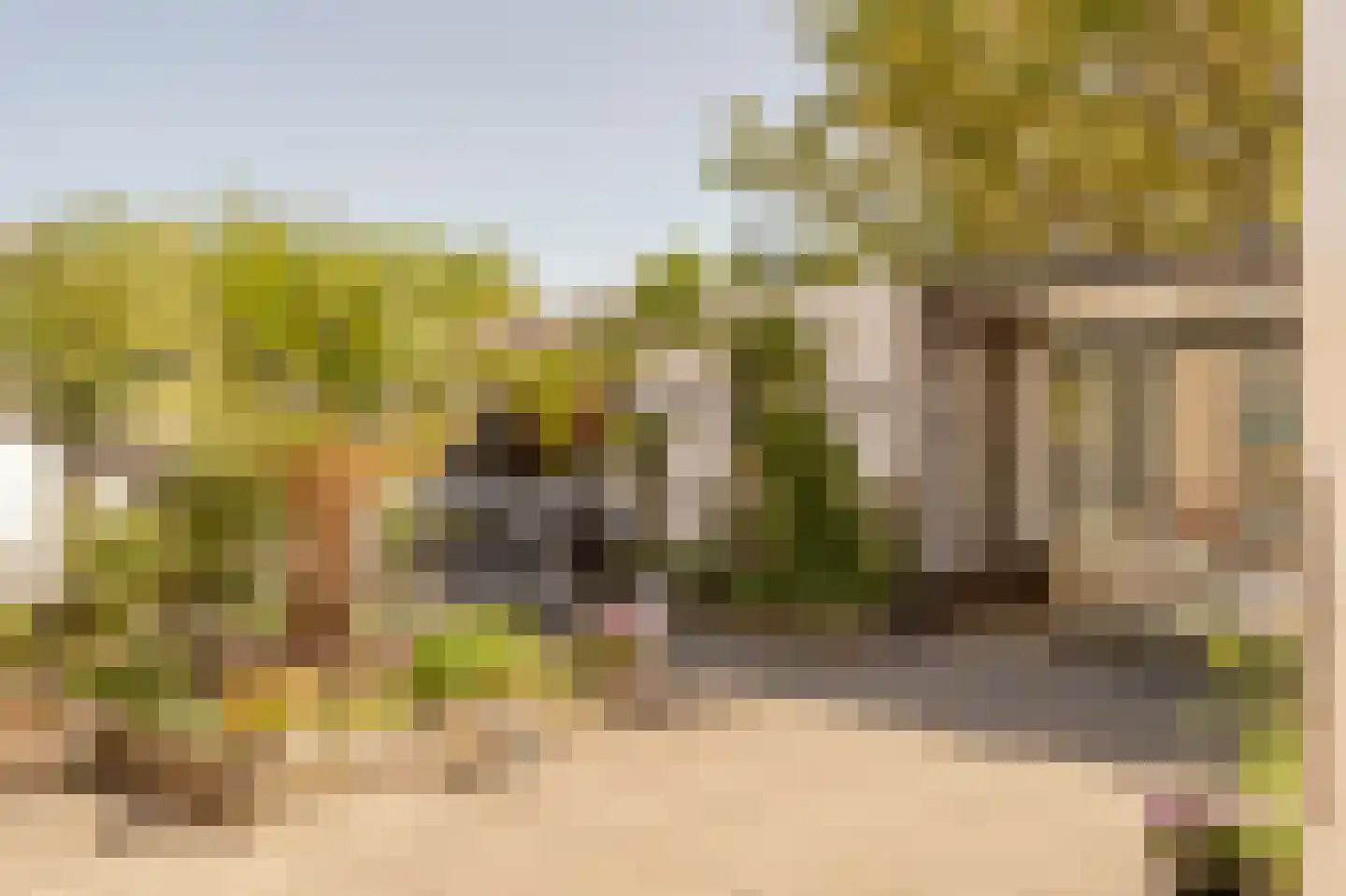 Parelduiker 2 Noordwijk thumbnail 15