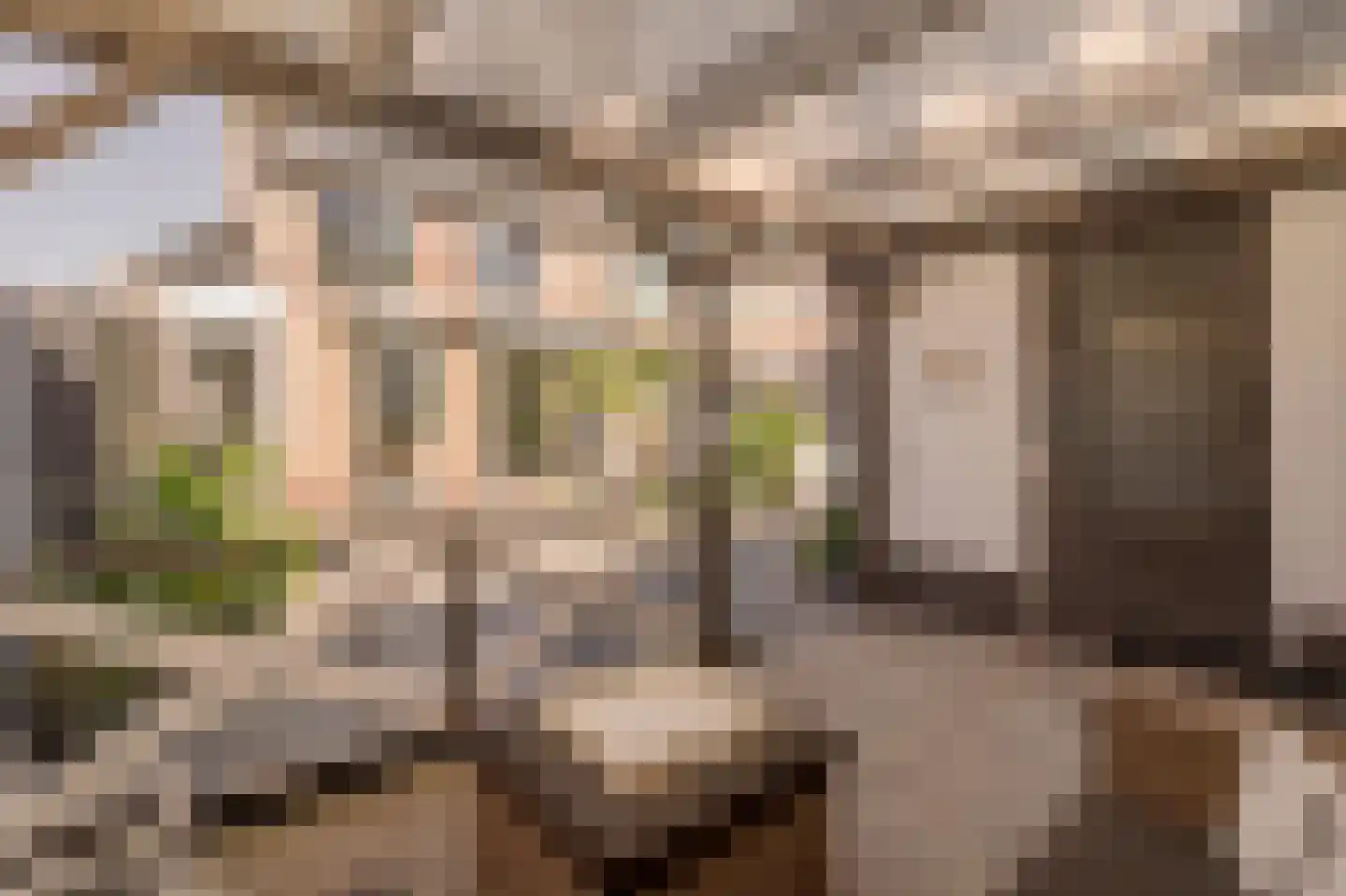 Parelduiker 2 Noordwijk thumbnail 16