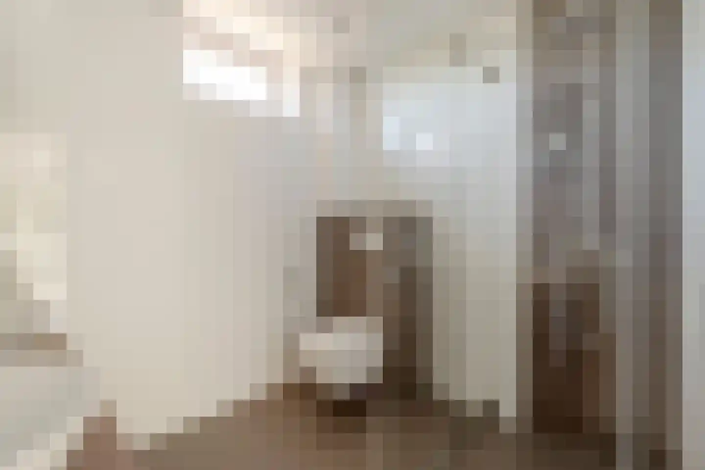 Parelduiker 2 Noordwijk thumbnail 25