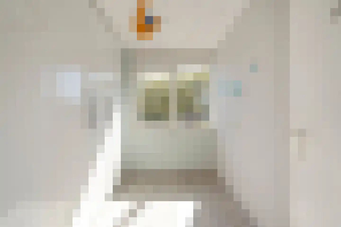 Parelduiker 2 Noordwijk thumbnail 30