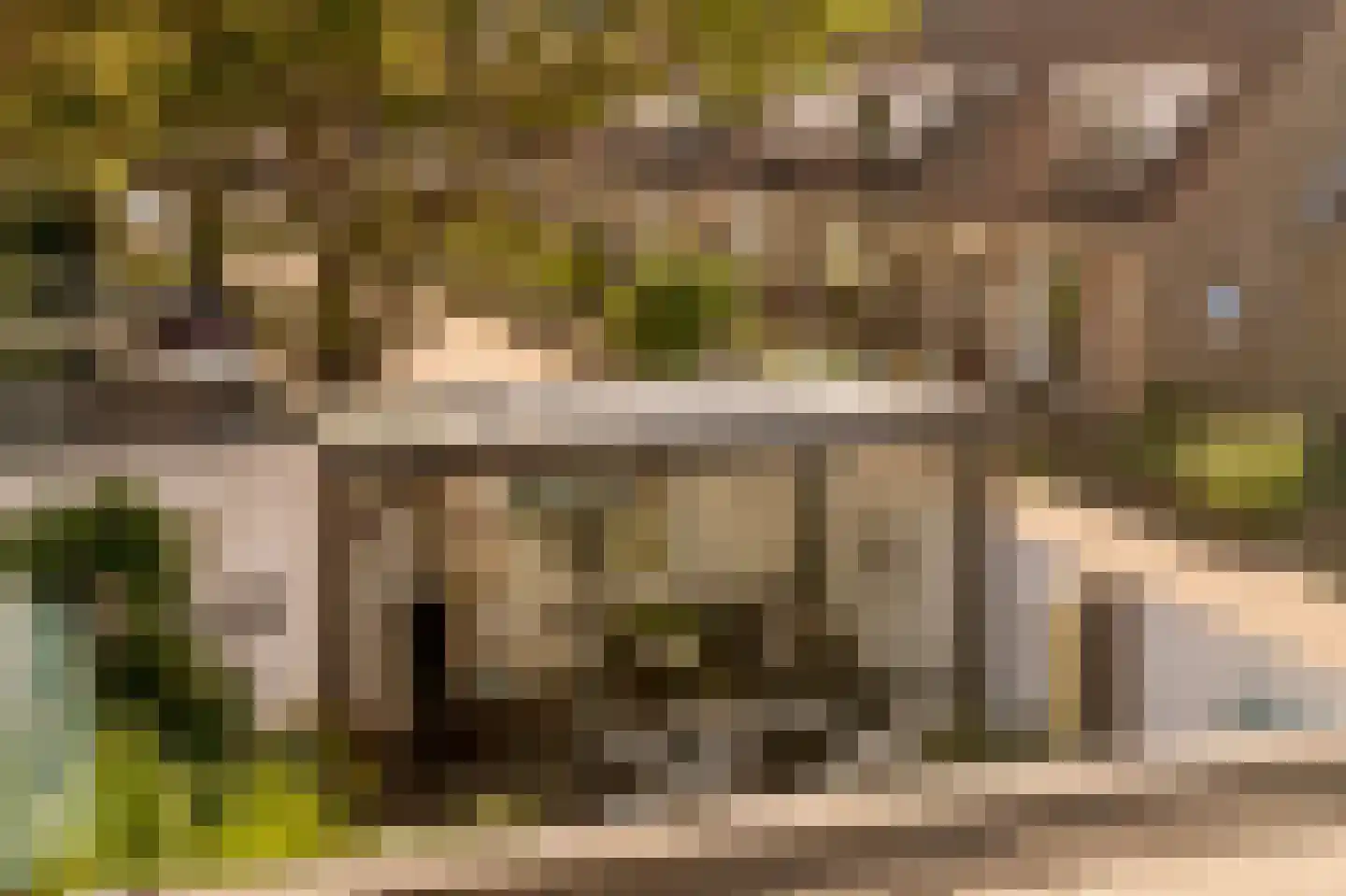 Parelduiker 2 Noordwijk thumbnail 31