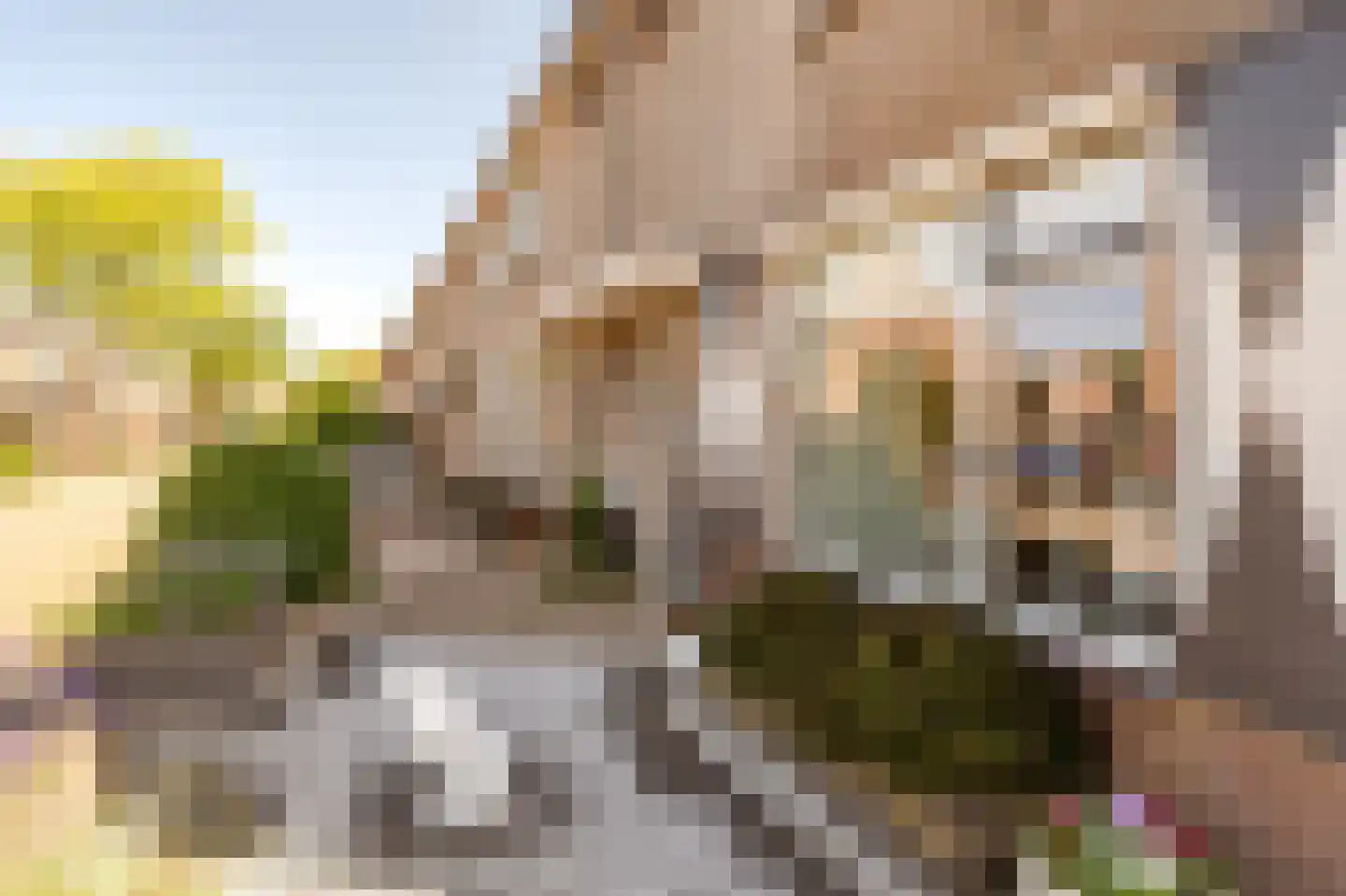 Parelduiker 2 Noordwijk thumbnail 4