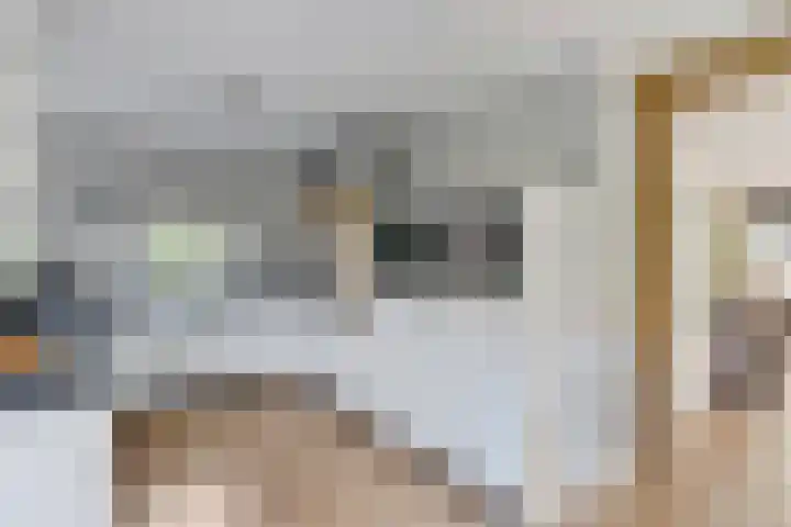 Parelduiker 21 Hoogkarspel thumbnail 10