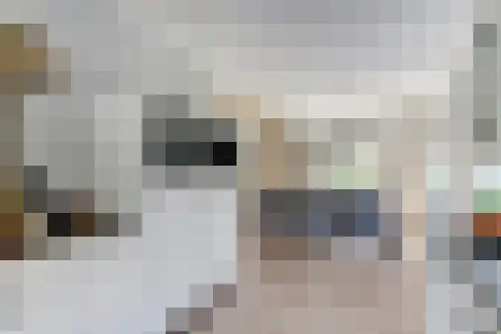 Parelduiker 21 Hoogkarspel thumbnail 12