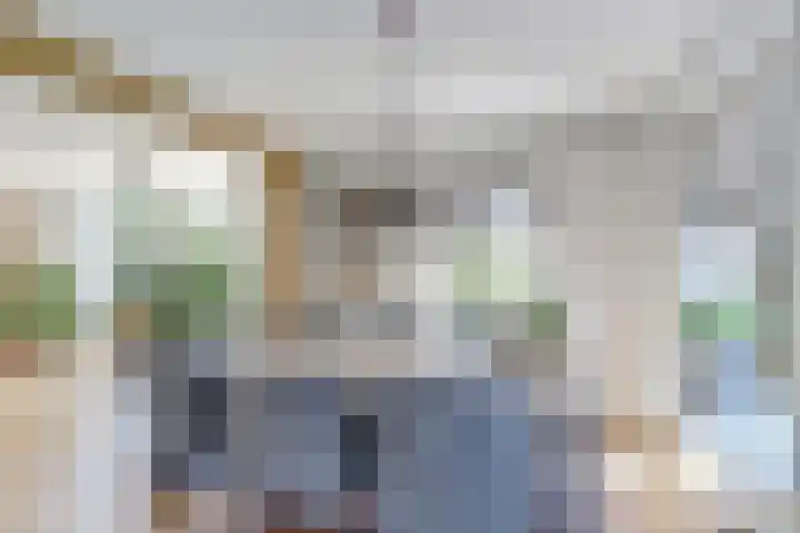 Parelduiker 21 Hoogkarspel thumbnail 13