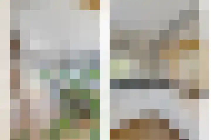 Parelduiker 21 Hoogkarspel thumbnail 14
