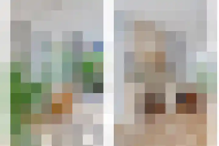 Parelduiker 21 Hoogkarspel thumbnail 17