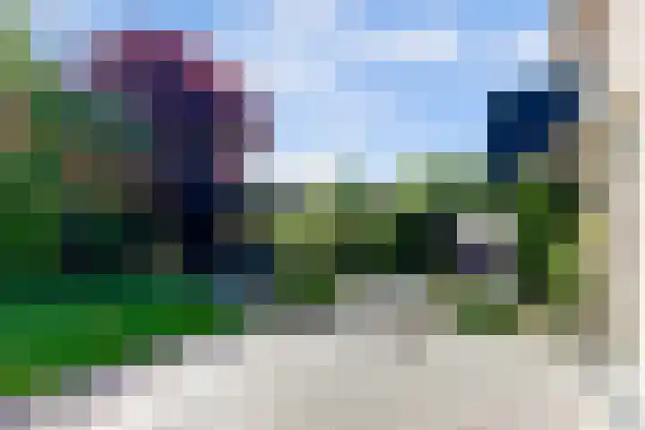 Parelduiker 21 Hoogkarspel thumbnail 20