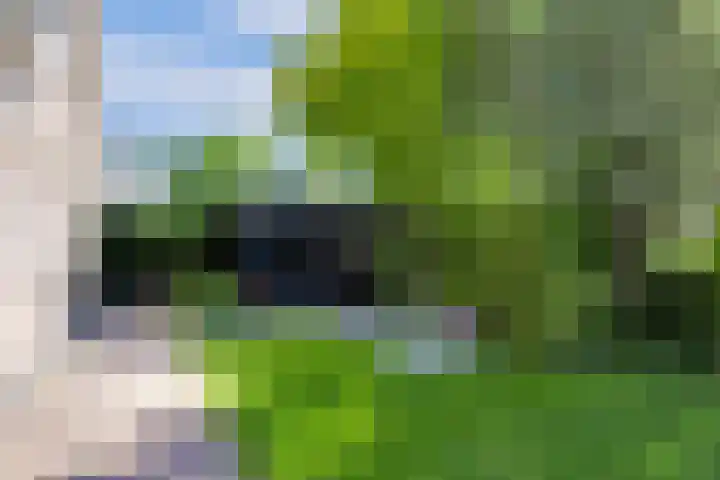 Parelduiker 21 Hoogkarspel thumbnail 21