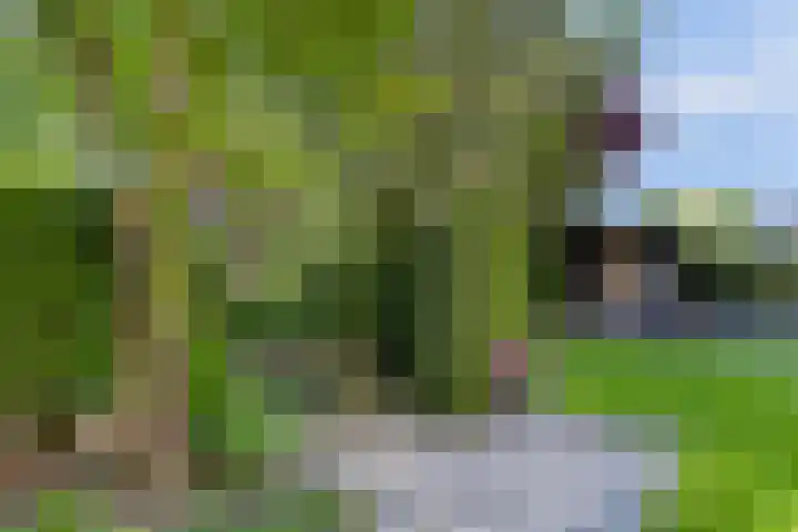 Parelduiker 21 Hoogkarspel thumbnail 22