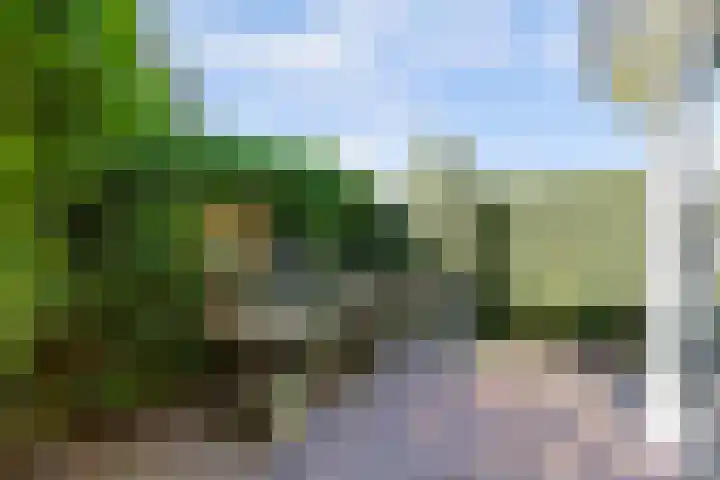 Parelduiker 21 Hoogkarspel thumbnail 23