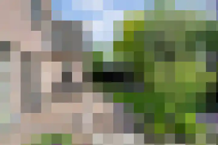 Parelduiker 21 Hoogkarspel thumbnail 25