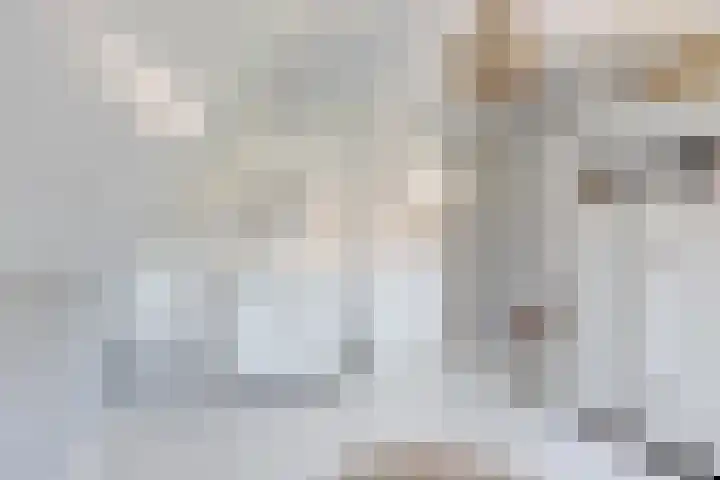 Parelduiker 21 Hoogkarspel thumbnail 34
