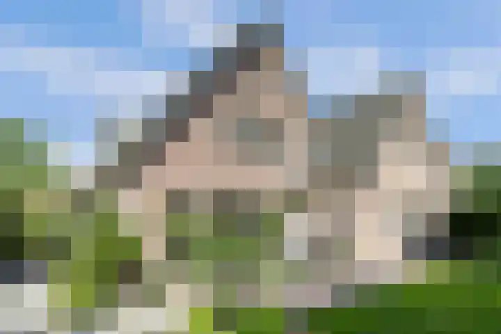 Parelduiker 21 Hoogkarspel thumbnail 4