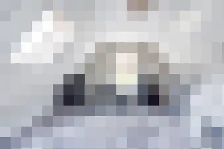 Parelduiker 21 Hoogkarspel thumbnail 41