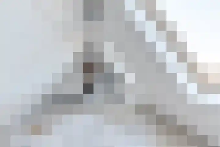 Parelduiker 21 Hoogkarspel thumbnail 44