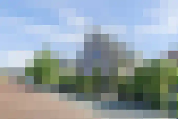Parelduiker 21 Hoogkarspel thumbnail 47