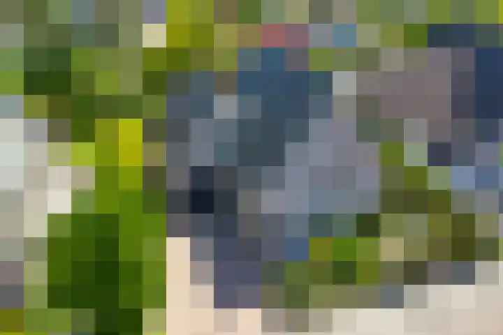 Parelduiker 21 Hoogkarspel thumbnail 49