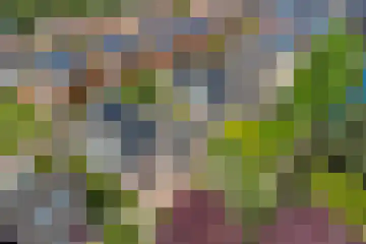 Parelduiker 21 Hoogkarspel thumbnail 50