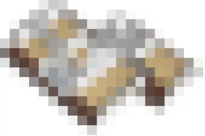 Parelduiker 21 Hoogkarspel thumbnail 54