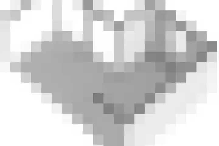 Parelduiker 21 Hoogkarspel thumbnail 58