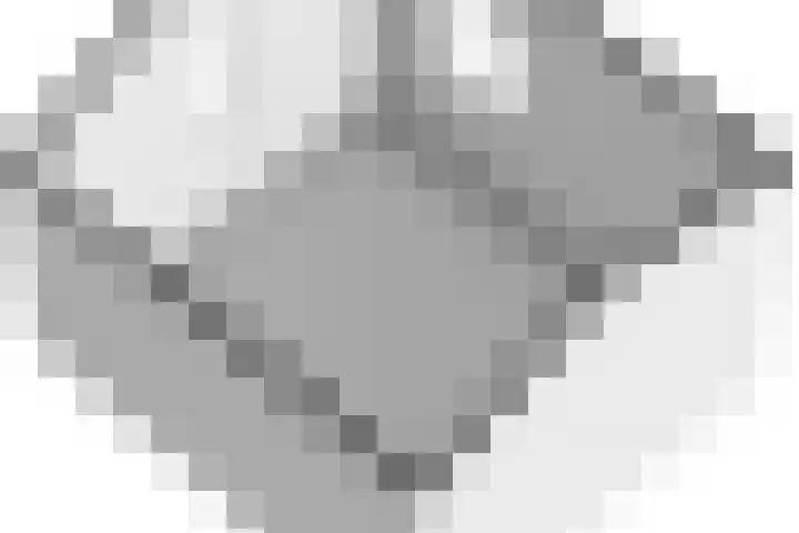 Parelduiker 21 Hoogkarspel thumbnail 60