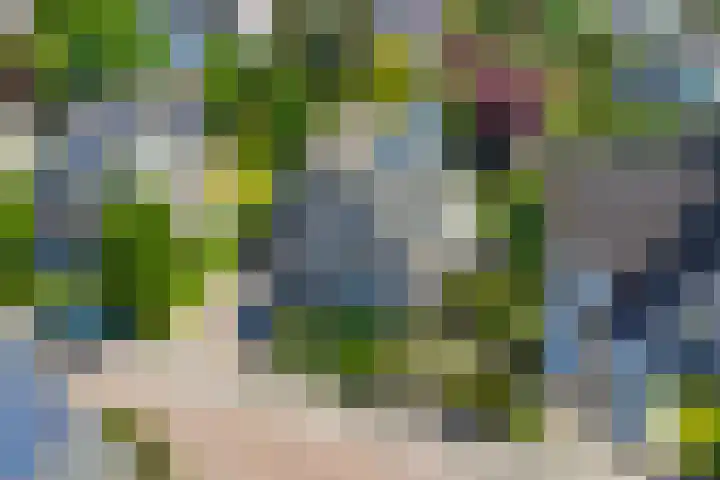Parelduiker 21 Hoogkarspel thumbnail 61
