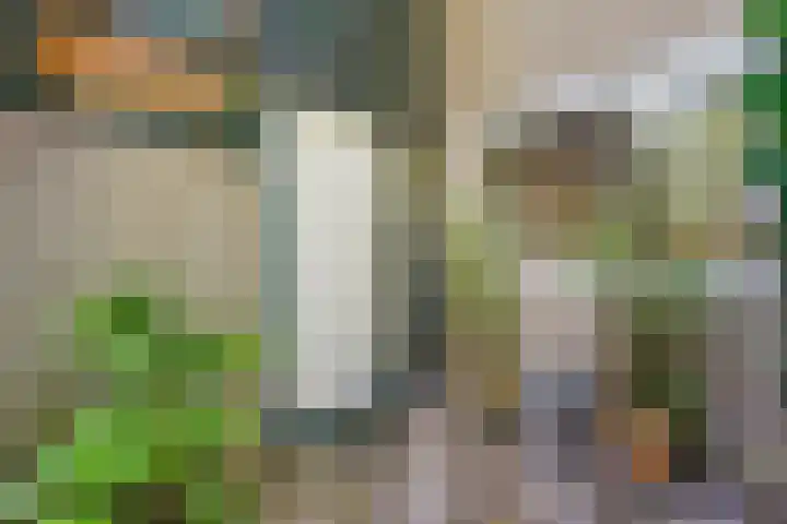 Parelduiker 4 Leusden thumbnail 10