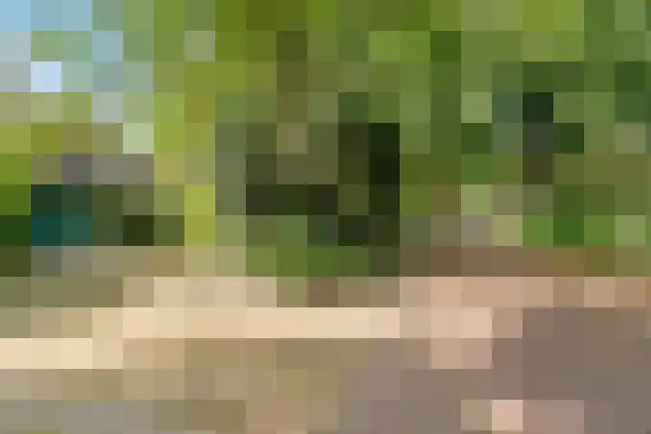 Parelduiker 4 Leusden thumbnail 11